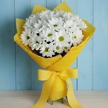 Букет цветов из:  Хризантемы в Соколе Вологодской области