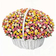 Премиум букет из: Розы в Соколе Вологодской области