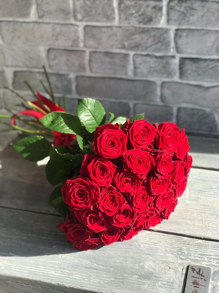 Букет Красные розы Фридом в Соколе Вологодской области