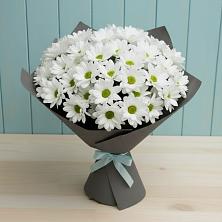 Букет цветов из:  Хризантемы в Соколе Вологодской области