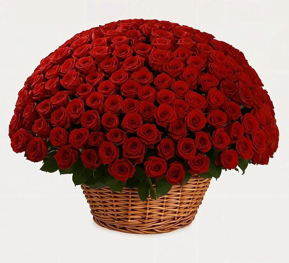 Премиум букет из: Розы в Соколе Вологодской области