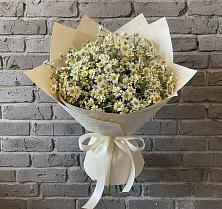 Букет цветов из:  Ромашки #REPLACE_PRED# Соколе Вологодской области