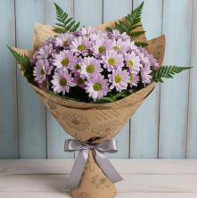 Букет цветов из:  Хризантемы в Соколе Вологодской области