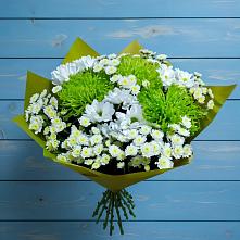 Букет цветов из:  Хризантемы в Соколе Вологодской области