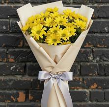 Букет цветов из:  Хризантемы в Соколе Вологодской области