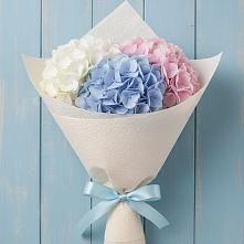 Букет цветов из:  Гортензия #REPLACE_PRED# Соколе Вологодской области