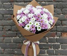 Букет цветов из:  Хризантемы в Соколе Вологодской области