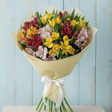 Букет цветов из:  Альстромерии #REPLACE_PRED# Соколе Вологодской области