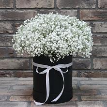Цветочная композиция из Гипсофила в шляпной коробке в Соколе Вологодской области