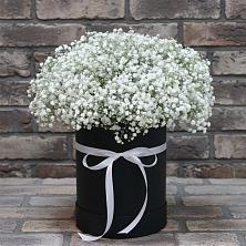 Цветочная композиция из Гипсофила в шляпной коробке в Соколе Вологодской области