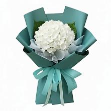 Букет цветов из:  Гортензия #REPLACE_PRED# Соколе Вологодской области